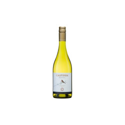 Caliterra Reserva Chardonnay 750 ml - Vino Blanco