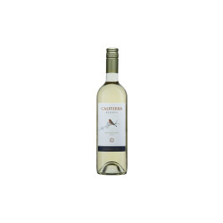 Caliterra Reserva Sauvignon Blanc 750 ml - Vino Blanco