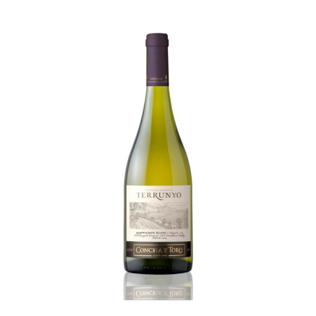 Terrunyo Sauvignon Blanc 750 ml - Vino Blanco
