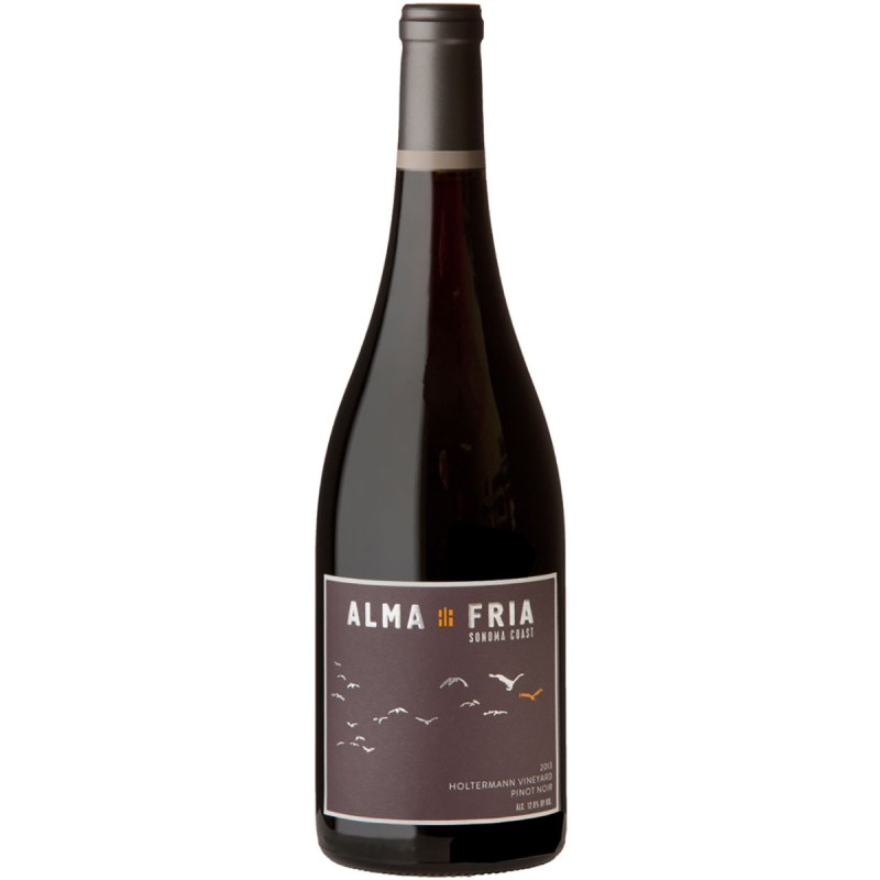 Alma Fria Holtermann Vineyard Pinot Noir 750 ml - Vino Tinto