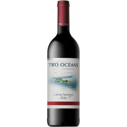 Two Oceans Cabernet Merlot 750 ml - Vino Tinto