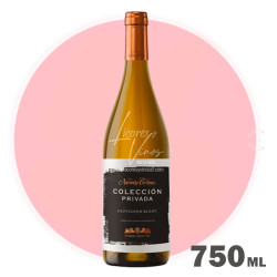 Navarro Correas Coleccion Privada Sauvignon Blanc 750 ml - Vino Blanco