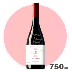 Pisano Rio de los Pajaros Pinot Noir 750 ml - Vino Tinto