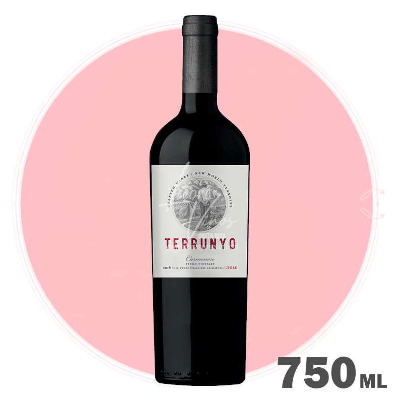 Terrunyo Carmenere 750 ml - Vino Tinto