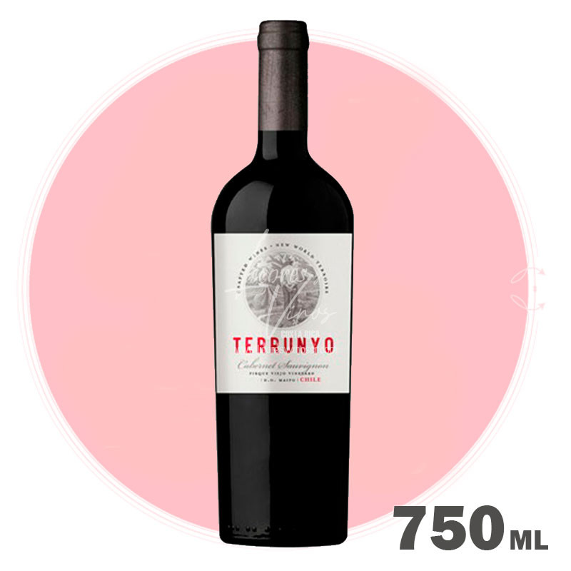 Terrunyo Cabernet Sauvignon 750 ml - Vino Tinto