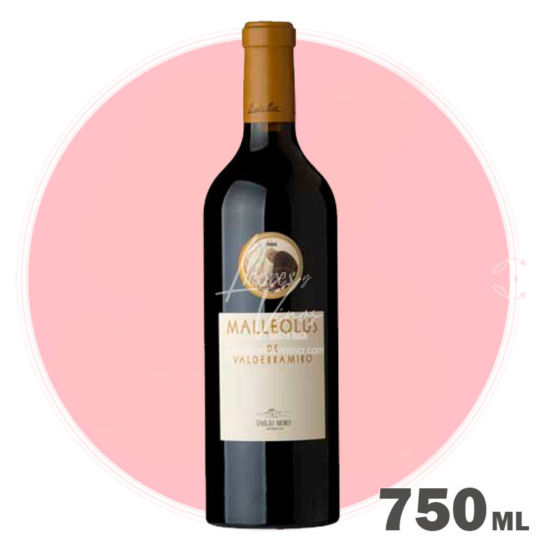 Emilio Moro Malleolus de Valderramiro 750 ml - Vino Tinto