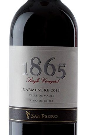 Single Vineyard 1865 Carmenere 750 ml - Vino Tinto