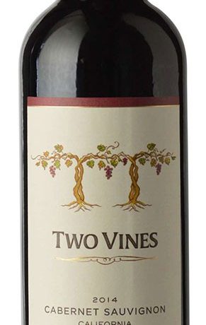 Columbia Crest Two Vines Shiraz 750 ml - Vino Tinto