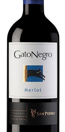 Gato Negro Merlot 750 ml - Vino Tinto