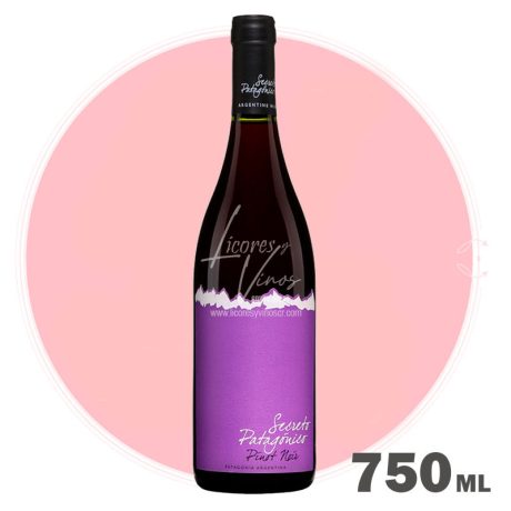 Secreto Patagonico Pinot Noir 750 ml - Vino Tinto