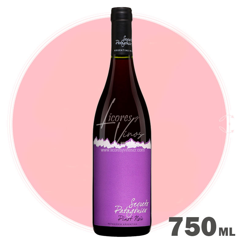Secreto Patagonico Pinot Noir 750 ml - Vino Tinto