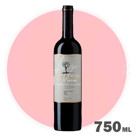 Palo Alto Winemakers 750 ml - Vino Tinto