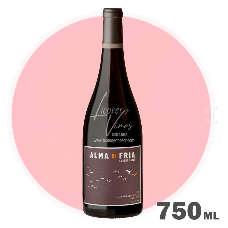 Alma Fria Holtermann Vineyards Pinot Noir 750 ml - Vino Tinto