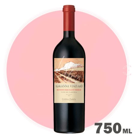 Catena Zapata - Adrianna Mundus Bacillus Malbec 2011 750 ml - Vino Tinto