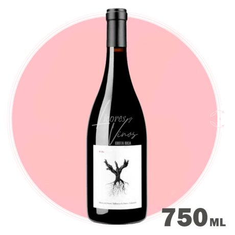 Dominio de Pingus PSI 750 ml - Vino Tinto